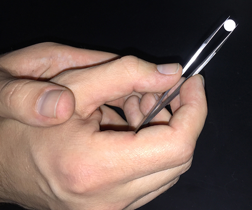 The enamel discs used in the experiment mimic tooth enamel.