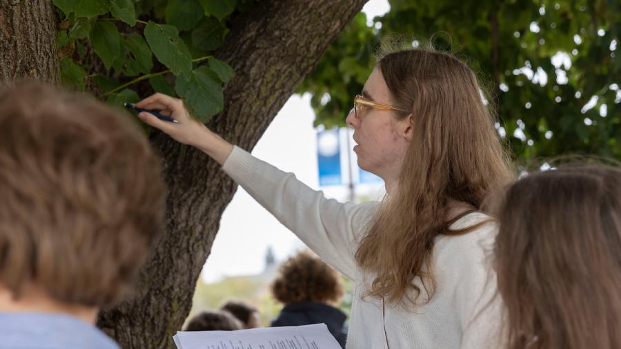 A student looks at the bark of a linden tree