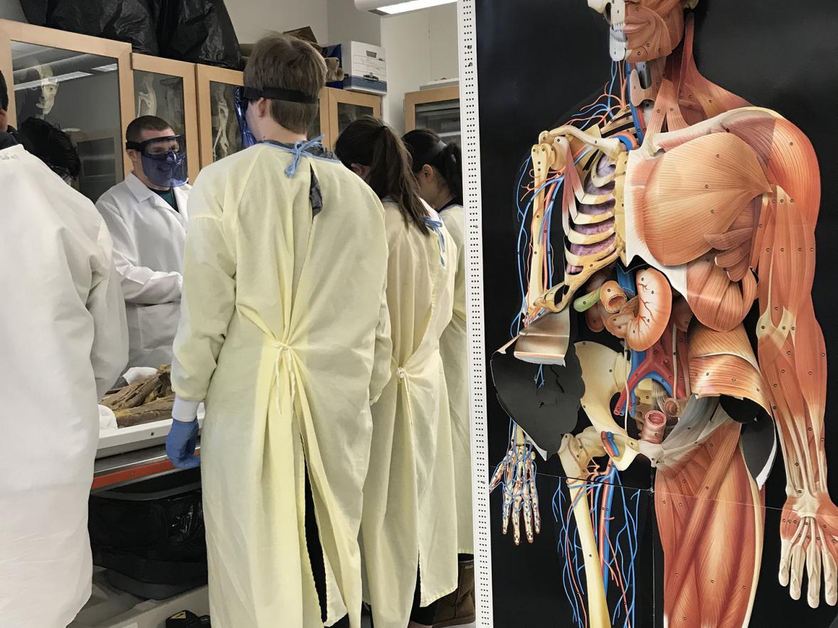 Students from Colfax examine one of the two cadavers at UW-Stout.