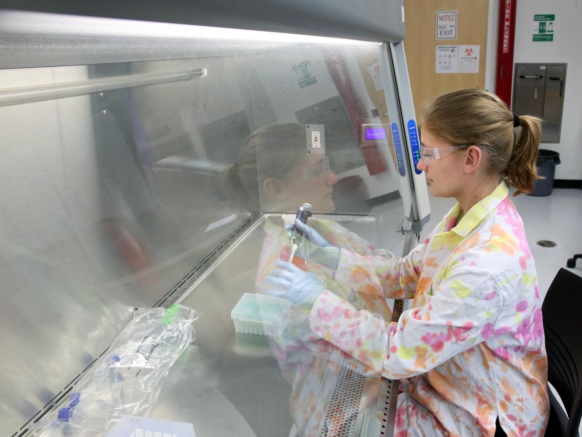 Kayla Boyd works in a UW-Stout biology lab in Jarvis Hall.